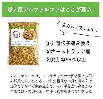 アルファルファ20kg KYO アルファルファ20kg KYO Amazon | EXTOLEVEL | Alpha Cube 牧草